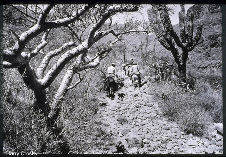 El Camino Real in Arroyo del Infierno, 1971