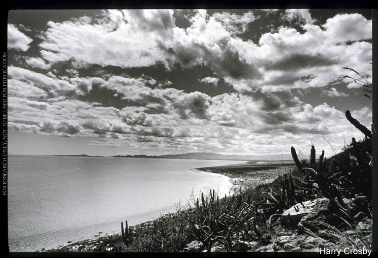 Bahía de la Ventana and the Surgidero de Cerralvo, 1992