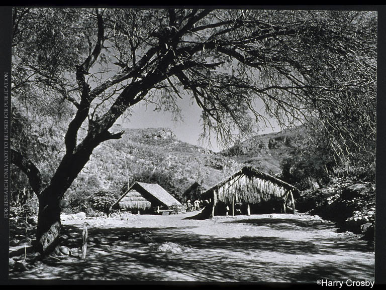 Rancho de Vivelejos, 1980