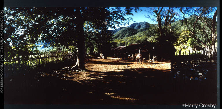 Rancho de San Dionisio in the foothills of the Sierra de la Laguna, 1972