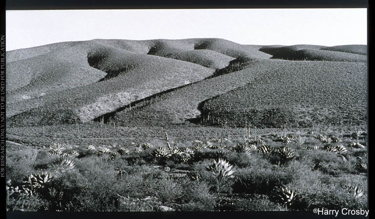 Landform fifteen mile southeast of El Rosario, 1990