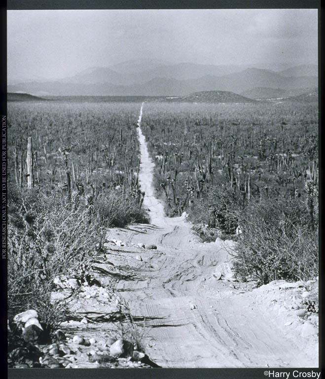 Stretch of the old dirt road near Rancho del Tablón, 1971