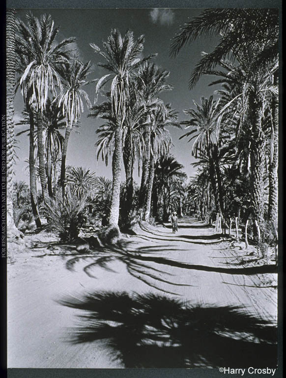 Old road into San Ignacio, 1971