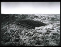 San Telmo Valley seen from foothills of the Sierra de San Pedro Mártir, 1968.