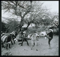 Loading a burro at Rancho de Santa Cruz, 1972.