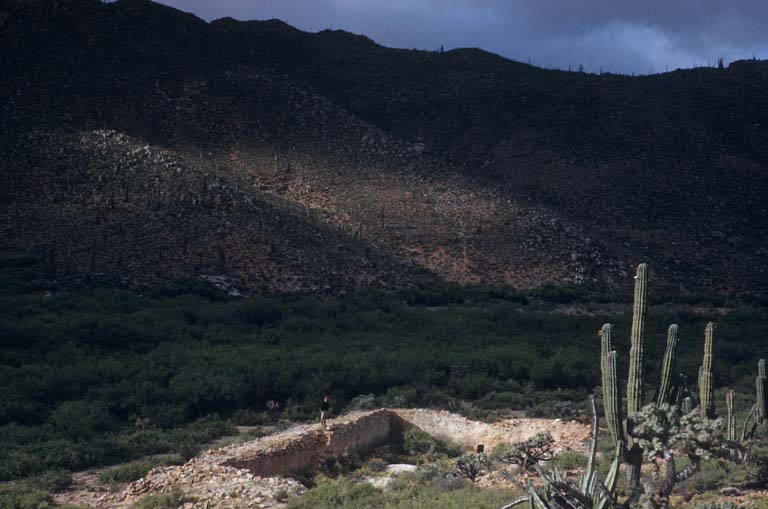 Pila at San Fernando, April 30, 1954