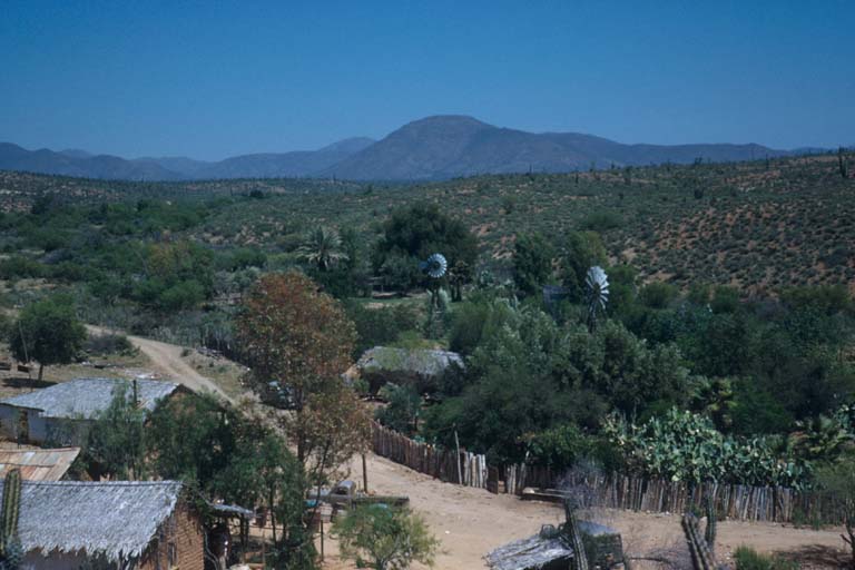 Santa Catarina, April 14, 1954