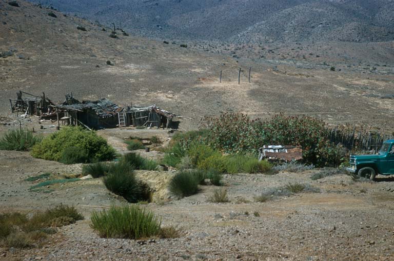 Las Palomas, September 6, 1960