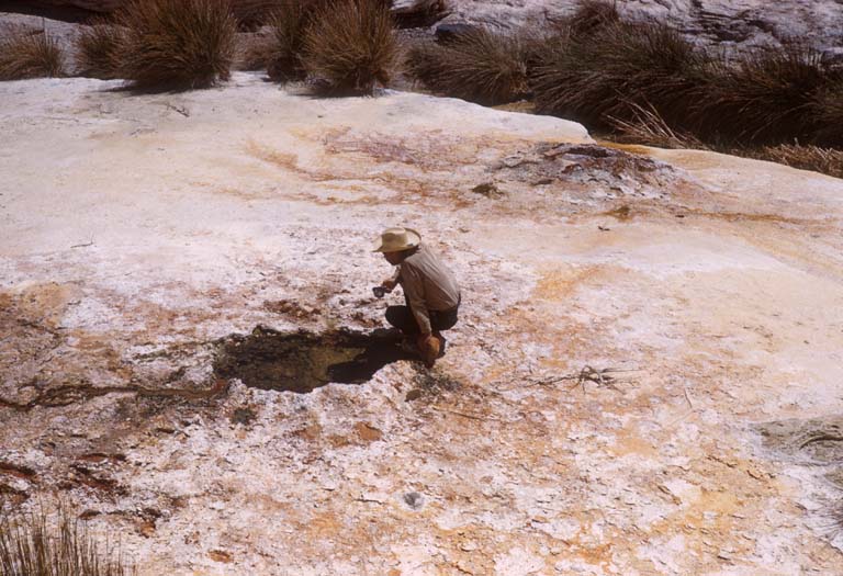 Soda spring at El Volcn, April 17, 1961
