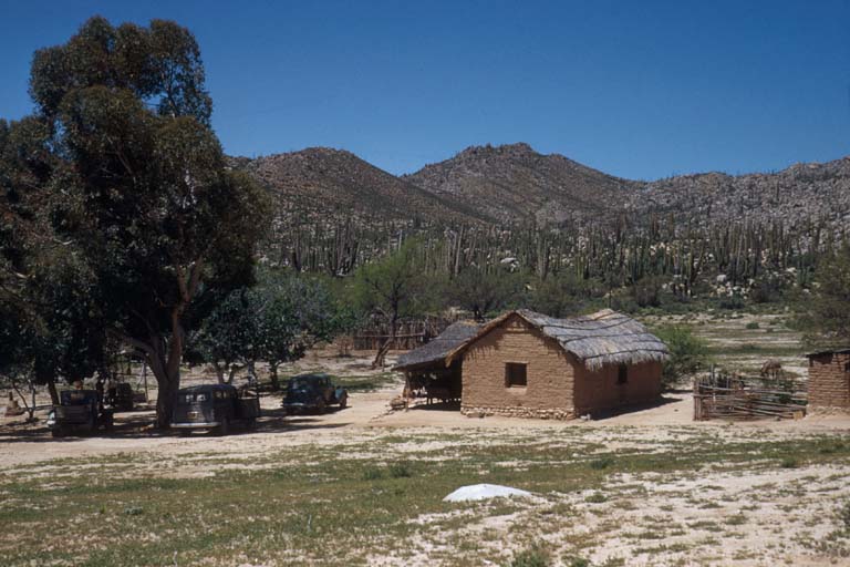 Las Codornices, April 16, 1954