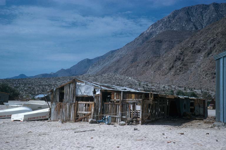 Baha Los Angeles Turtle pen, August 30, 1960