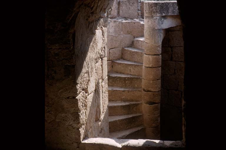 Caracol at San Borja, August 30, 1960