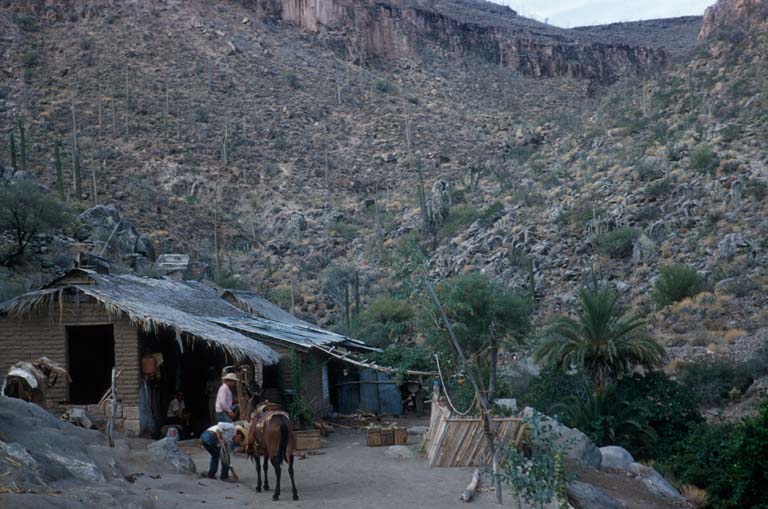 Rancho San Gregorio, August 31, 1960