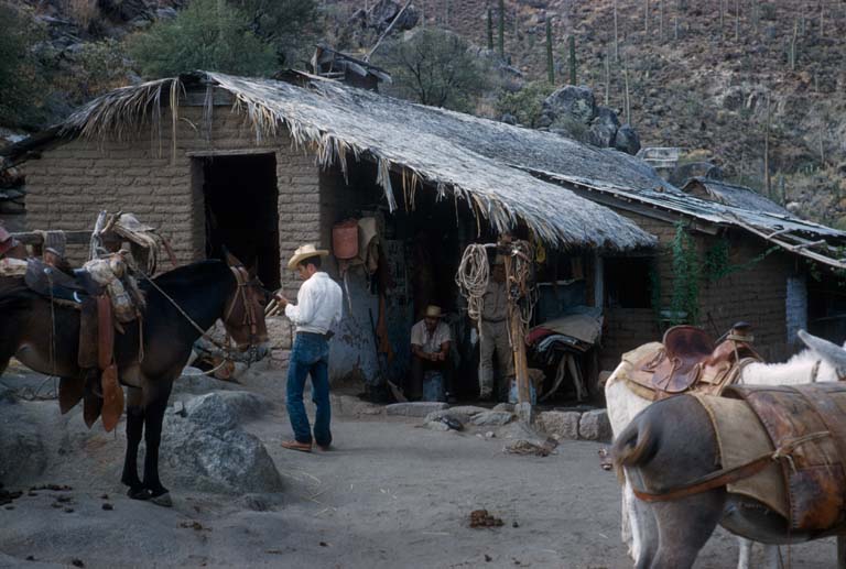 Rancho San Gregorio, August 31, 1960