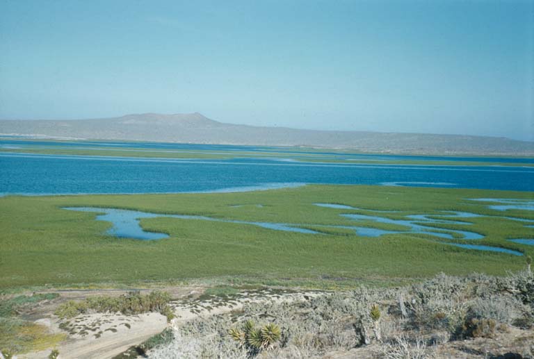 Laguna Manuela and Morro Santo Domingo looking Westerly, September 2, 1960