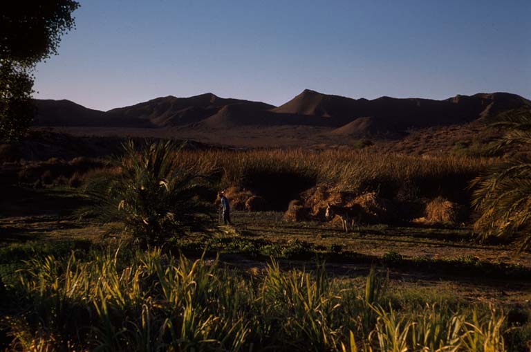 San Jos de Castro, April 13, 1955