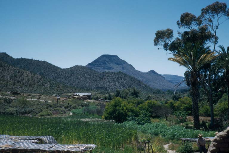 San Regis, 1953