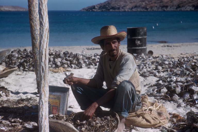 Pearl Fisherman at Baha San Francisquito, April 18, 1959