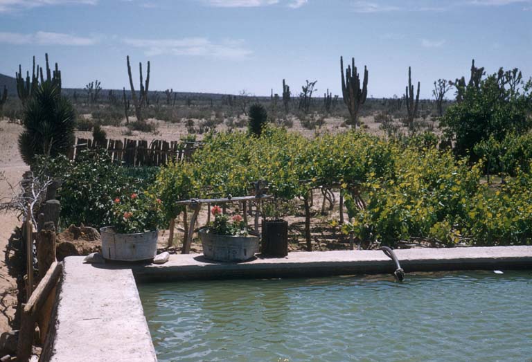 El Tabln, April 10, 1957