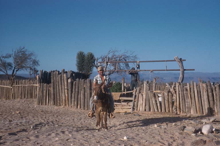 Pumping water at Los Angeles, April 20, 1959