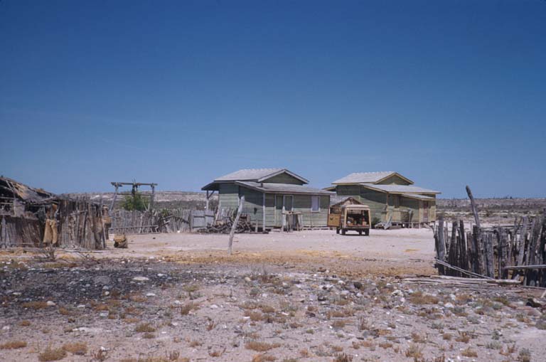 San ngel, 1952