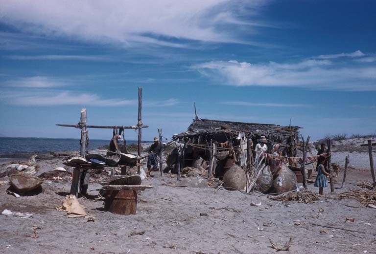 La Laguna, turtle camp on Laguna San Ignacio, April 29, 1961