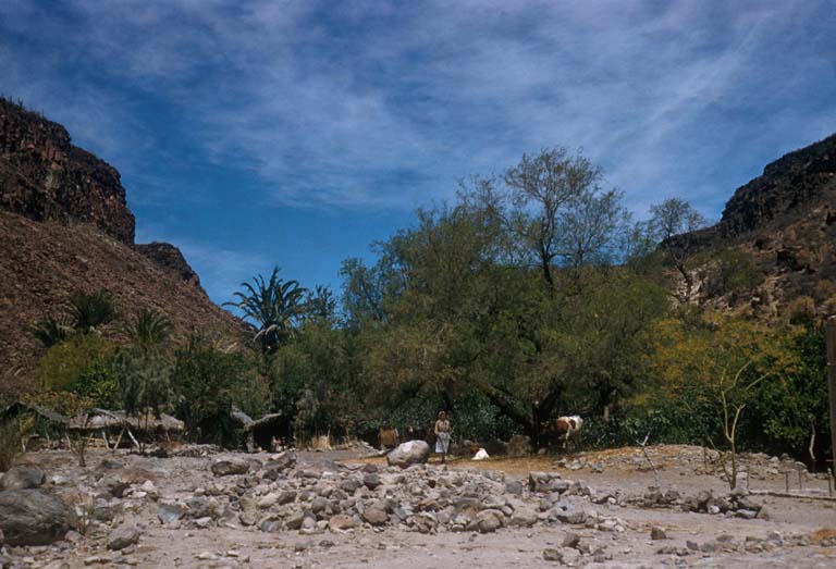 San Jos de Gracia, April 13, 1956
