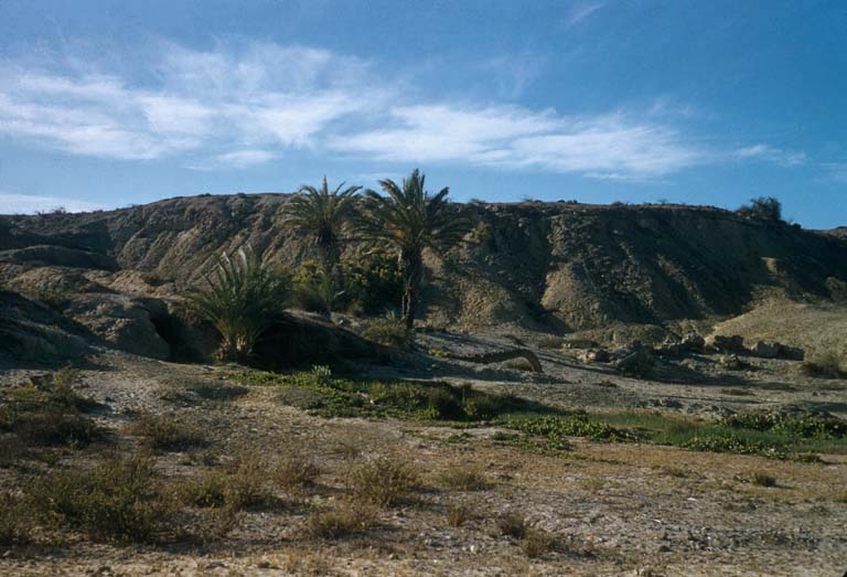 San Juanico, April 13, 1956