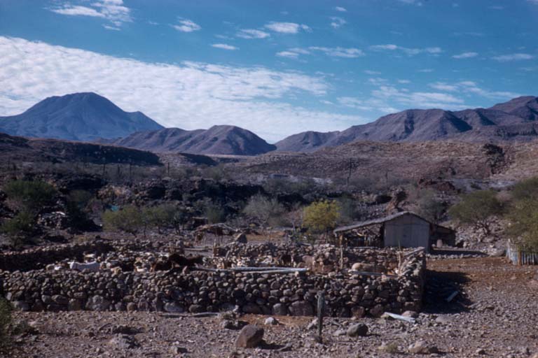 Rancho La Palma, road to San Carlos, April 23, 1961