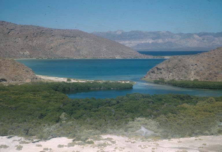 Santispac, 1951