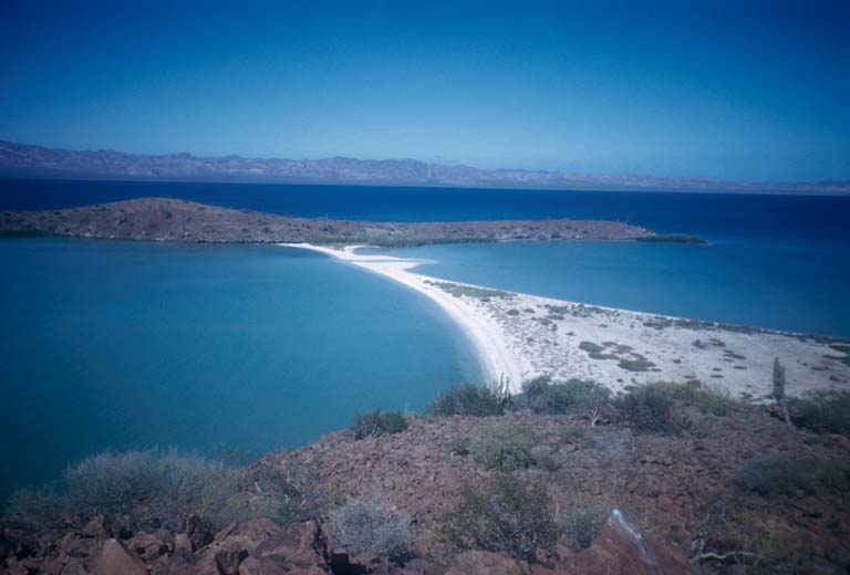 El Requesn, 1953