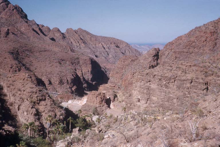 Caon Las Parras, 1952