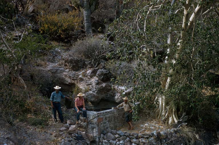 Aguaje, Los Burros, April 22, 1955