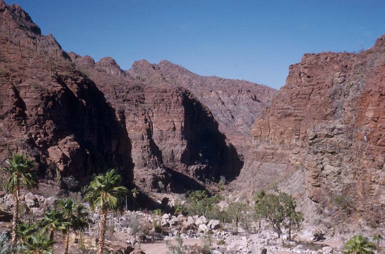 Caon Las Parras, 1952