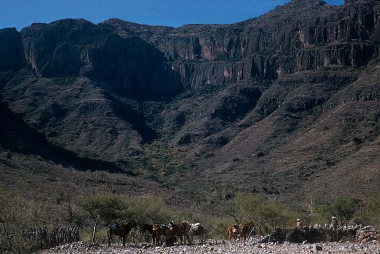 Arroyo Hondo, April 23, 1955