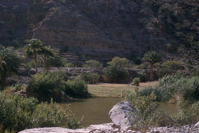 Pursima Canyon, April 27, 1957