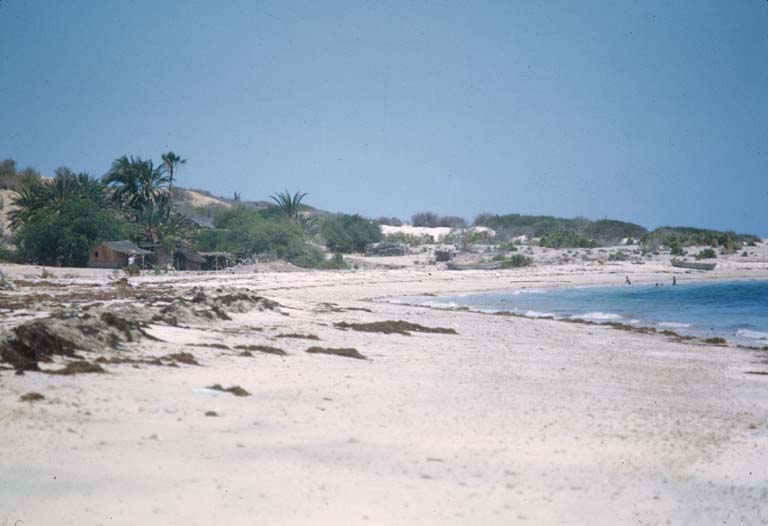 La Ventana, 1951