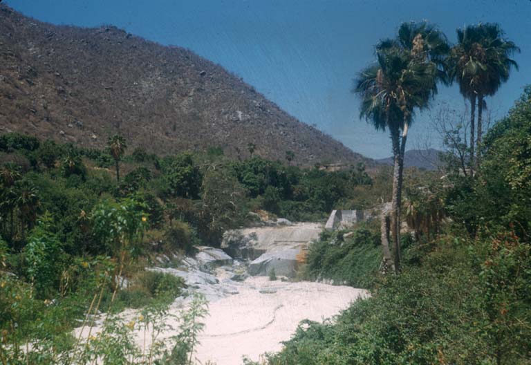 Near San Bartolo, 1951