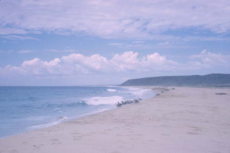Todos Santos - Beach north of Punta de Lobos, October 12, 1964