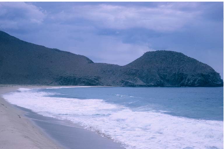 Punta de Lobos - near Todos Santos, October 12, 1964