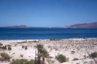 Bahia Los Angeles, April 17, 1954