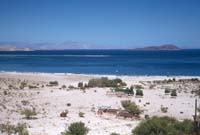 Baha Los Angeles, April 17, 1954