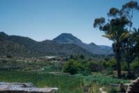 San Regis, 1953