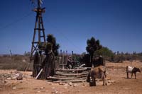 Well at Mezquital, April 12, 1955