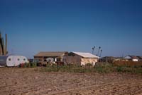 Rancho Wilson on the Vizcaino Desert, April 30, 1961