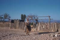 Pumping water at Los Angeles, April 20, 1959