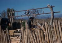 Well at Los Angeles, April 20, 1959