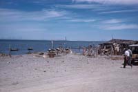 La Laguna, turtle camp on Laguna San Ignacio, April 29, 1961