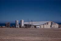 Fish cannery of San Juanico, April 28, 1961