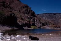 Poza near San Carlos, April 23, 1961
